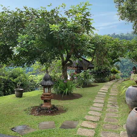 Villa Patria Lovina  Luaran gambar