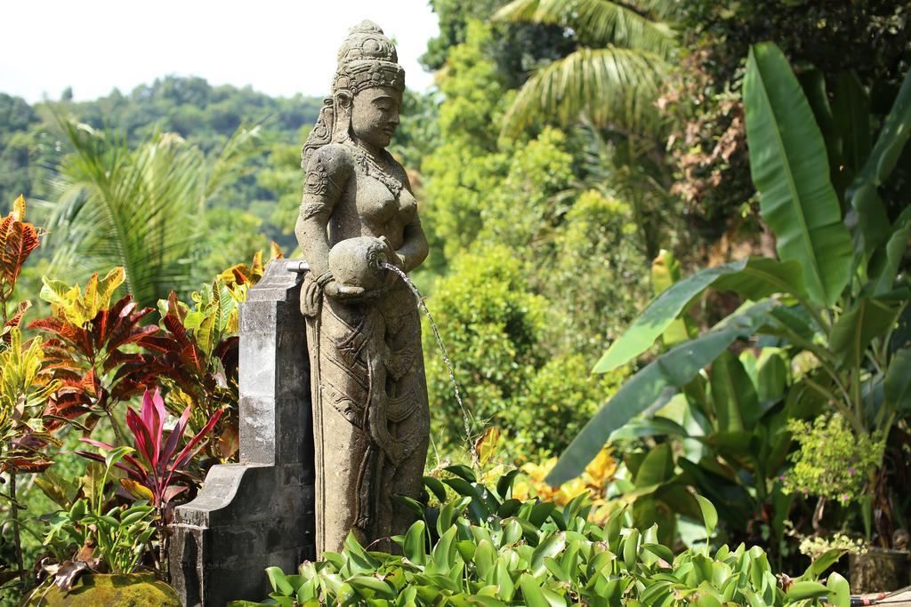 Villa Patria Lovina  Bilik gambar